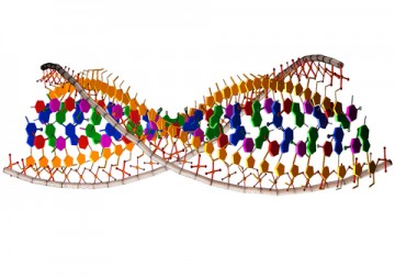 dna dna