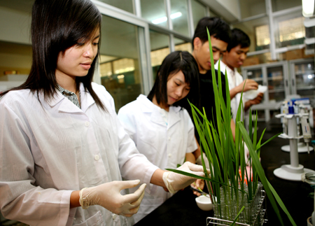 Thí nghiệm nuôi cấy thực vật - công nghệ sinh học